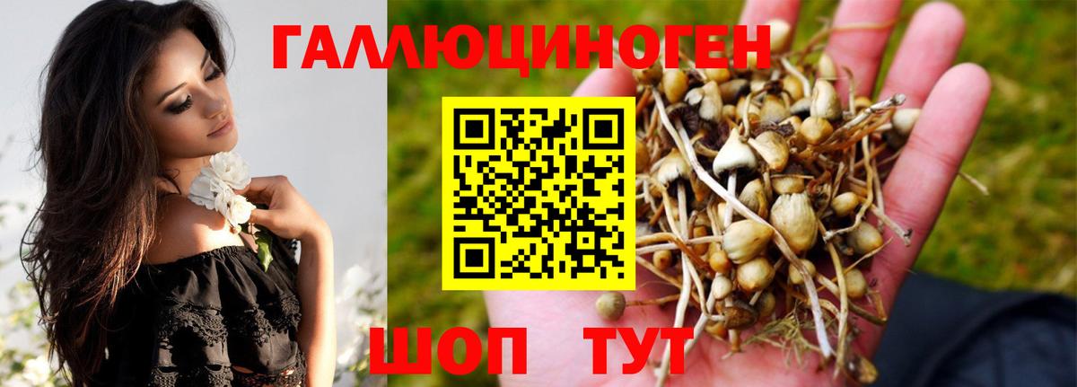 Псилоцибиновые грибы прущие грибы  Вход с VPN  дарнет шоп  Строитель 